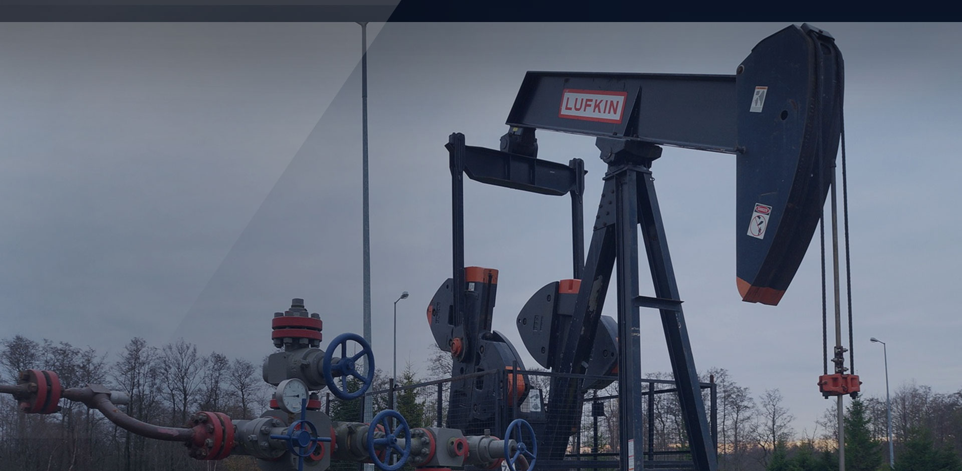 پی دی بیت هایی