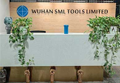 ویدئوی معرفی SML